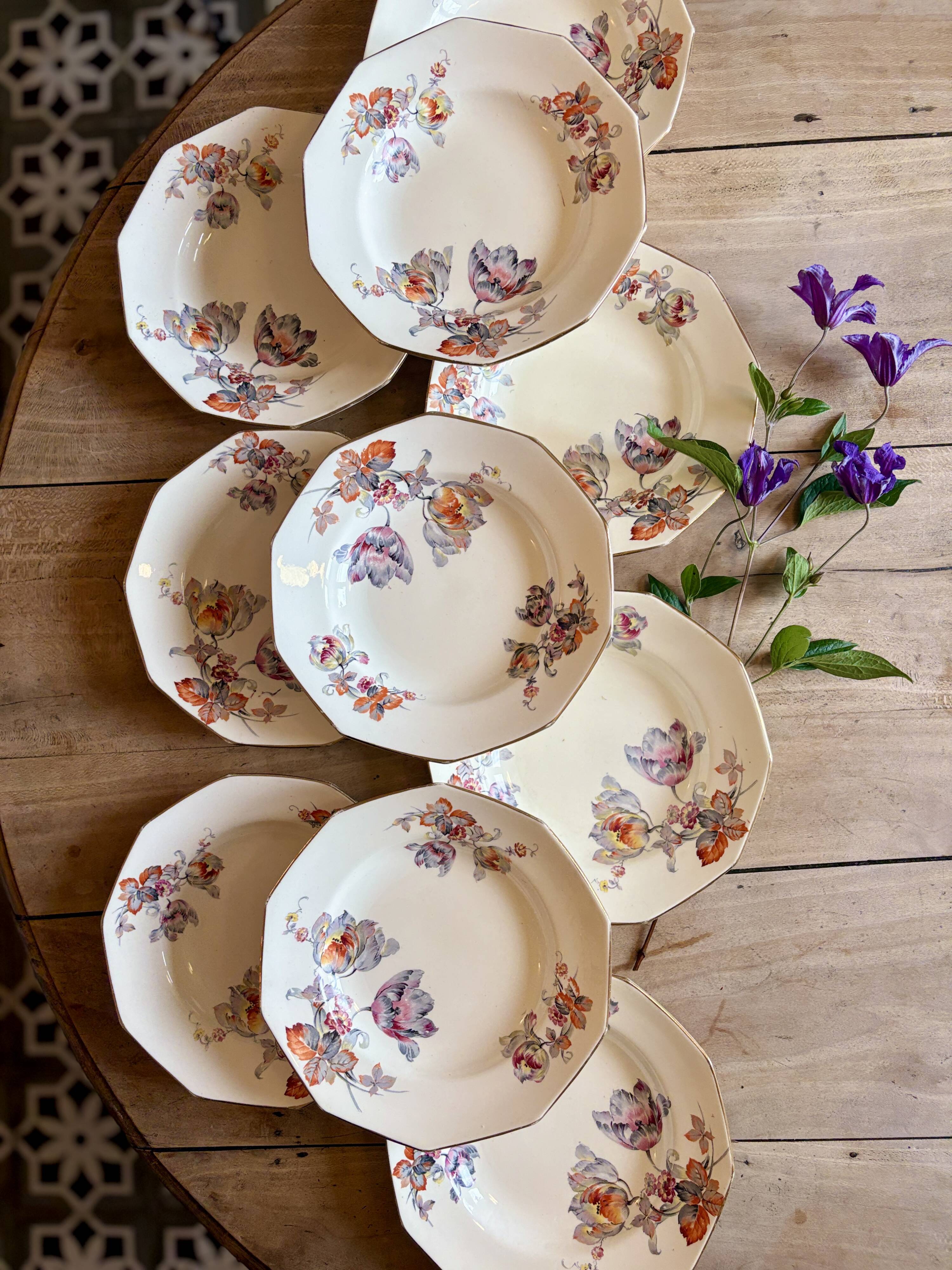 Set of 10 old hollow plates - Saint Amand in iron earth