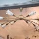 Lunel set of 1 chandelier and its pair of wall lights