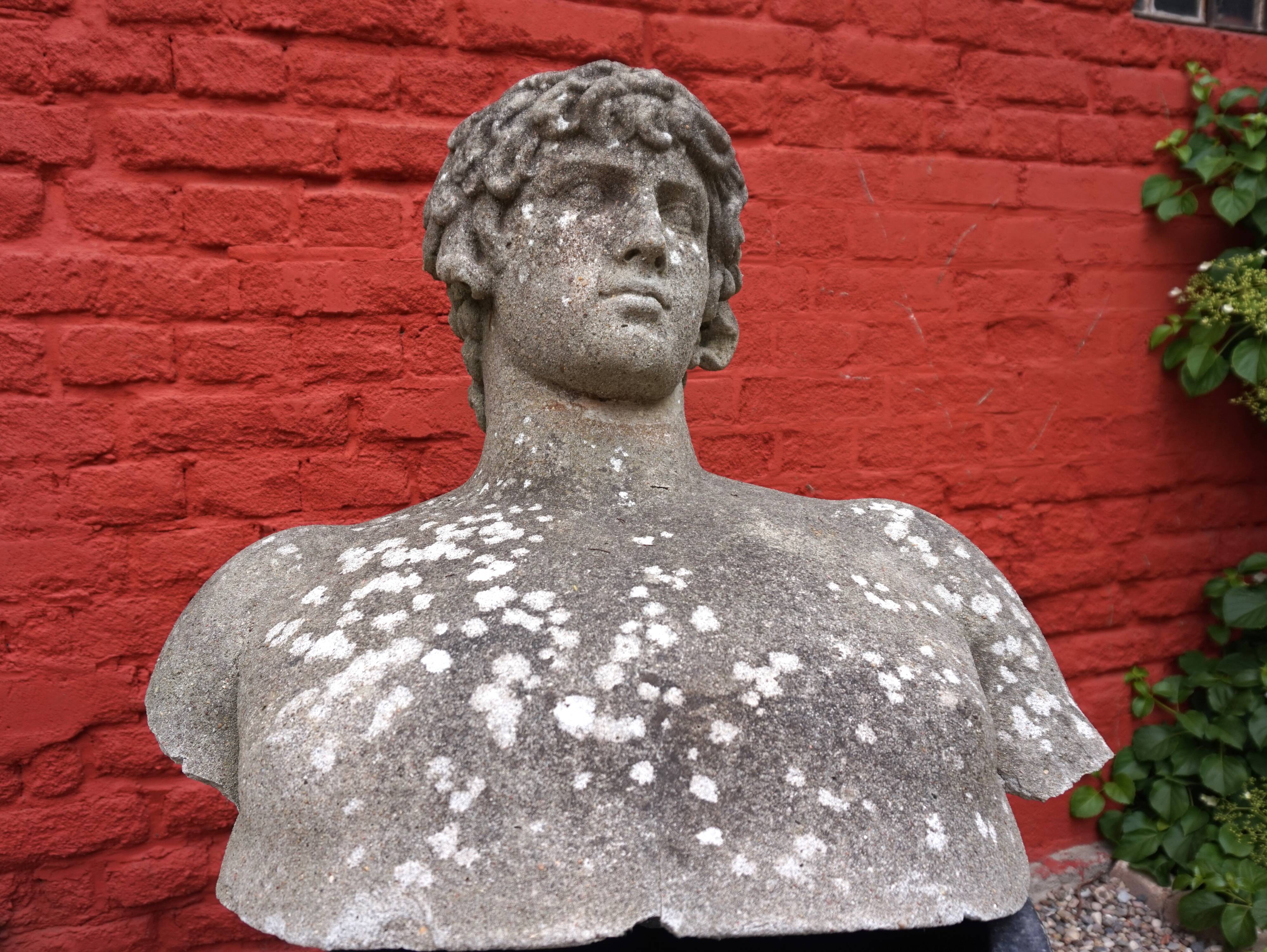 Weathered garden sculpture David concrete bust