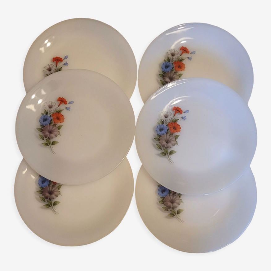 6 assiettes arcopal vintage