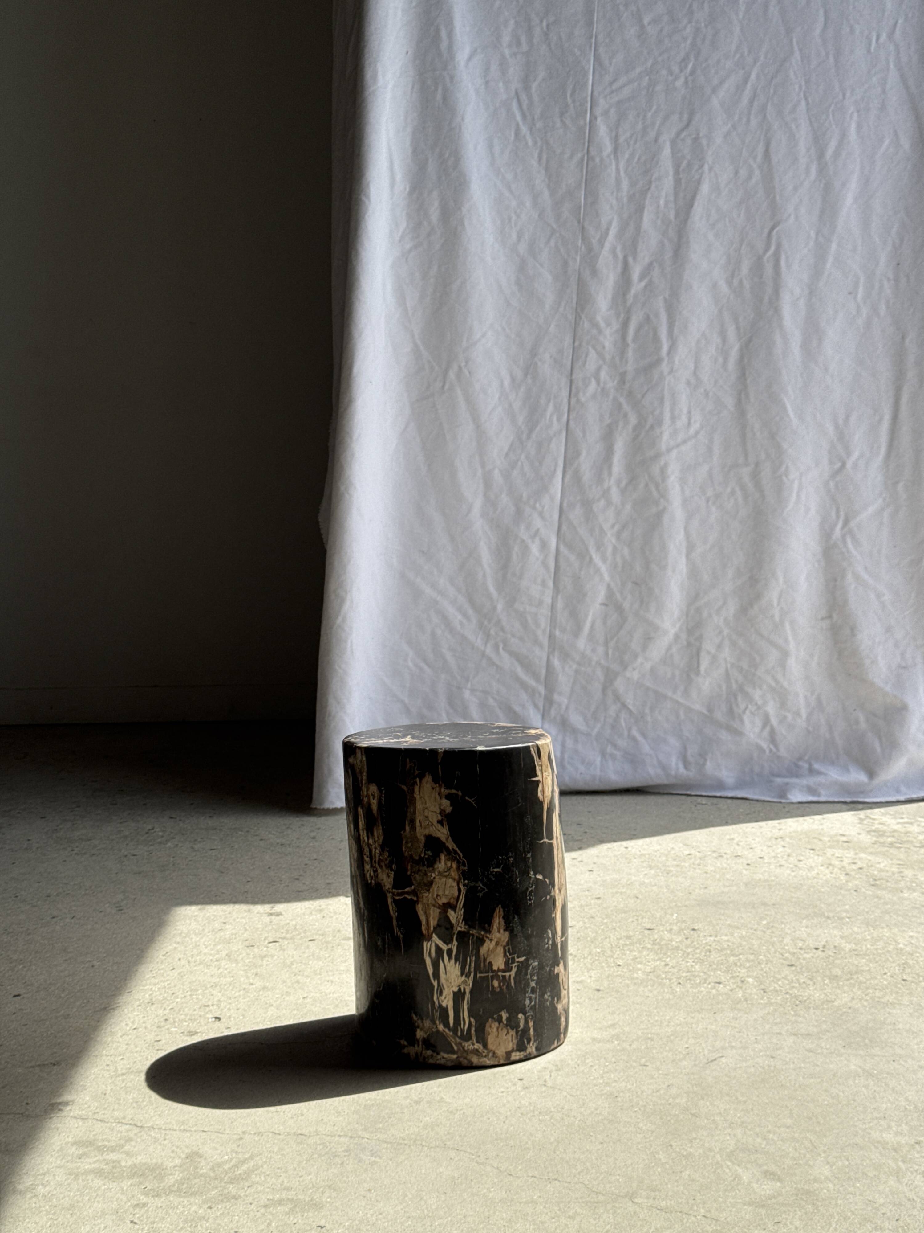 Black petrified wood side table with beige side H35 D24 - 3352