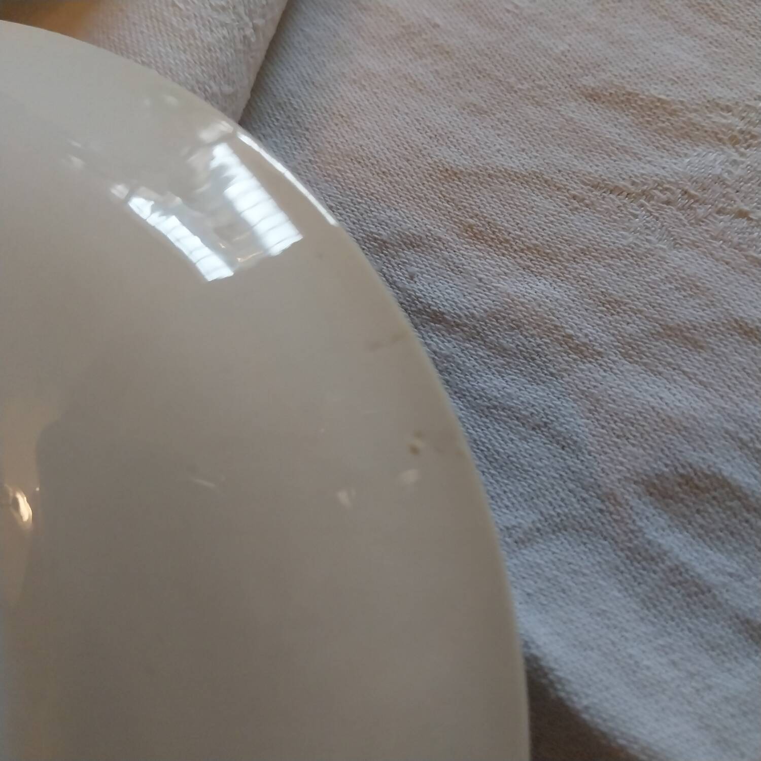 Royal Sphinx Large Teacup