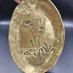 Empty Bronze Pocket Floral Decor