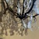 Louis XV style chandelier – 6 lights – patinated metal