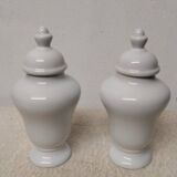 Pair of Covered Vases in Limoges Porcelain, France