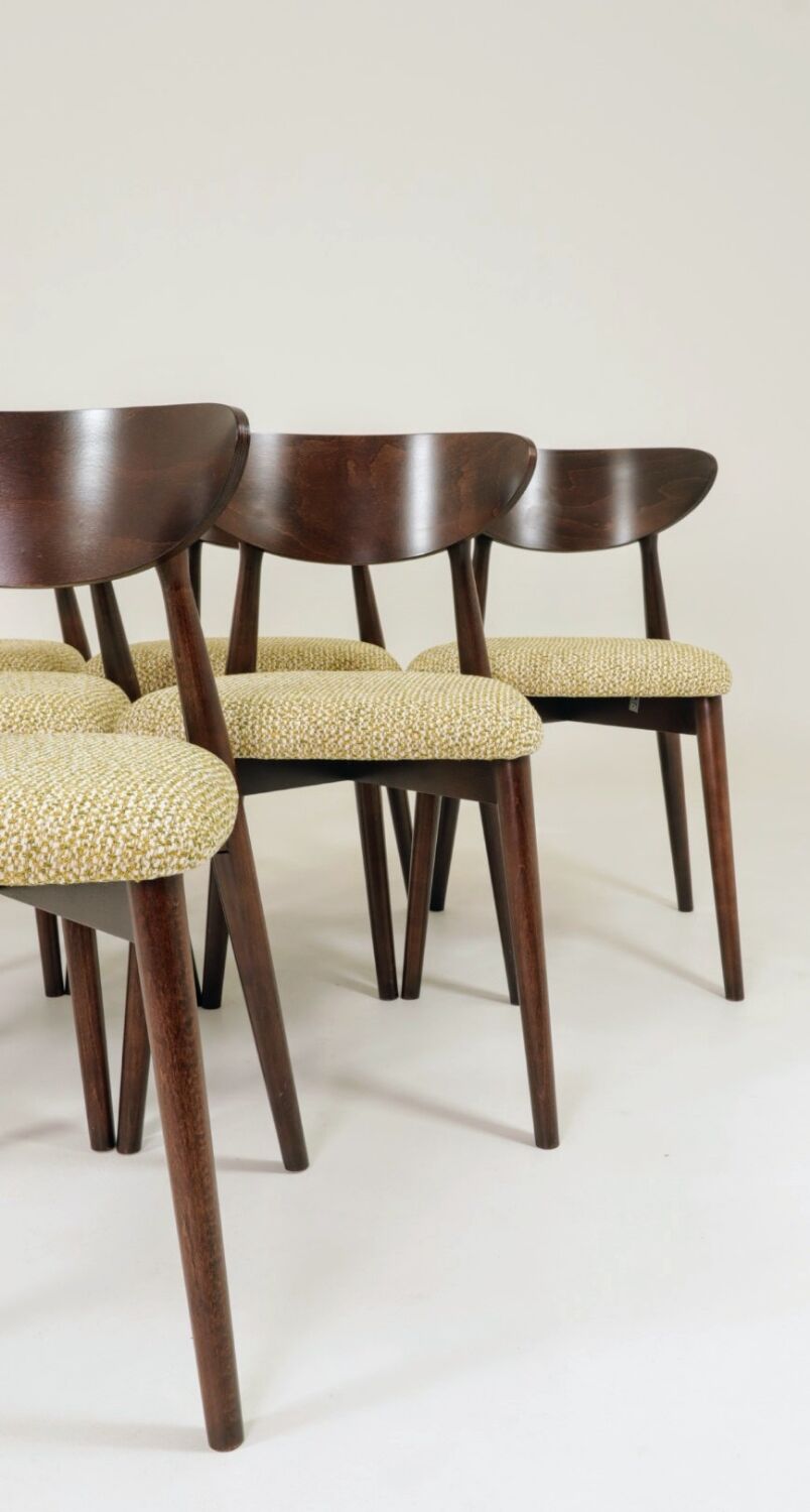 Dining chairs set of 4 Nebula green Scandinavian design