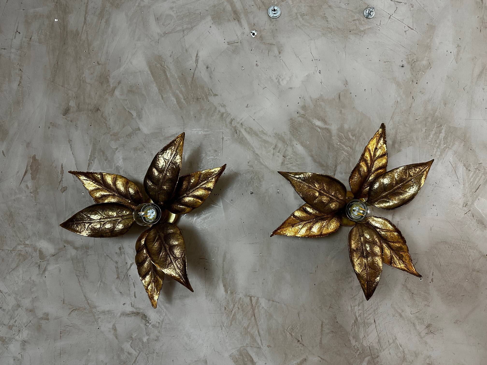 Pair of wall sconces by Willy Daro