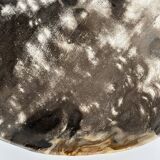 Dish in petrified wood