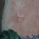 Peinture nature morte