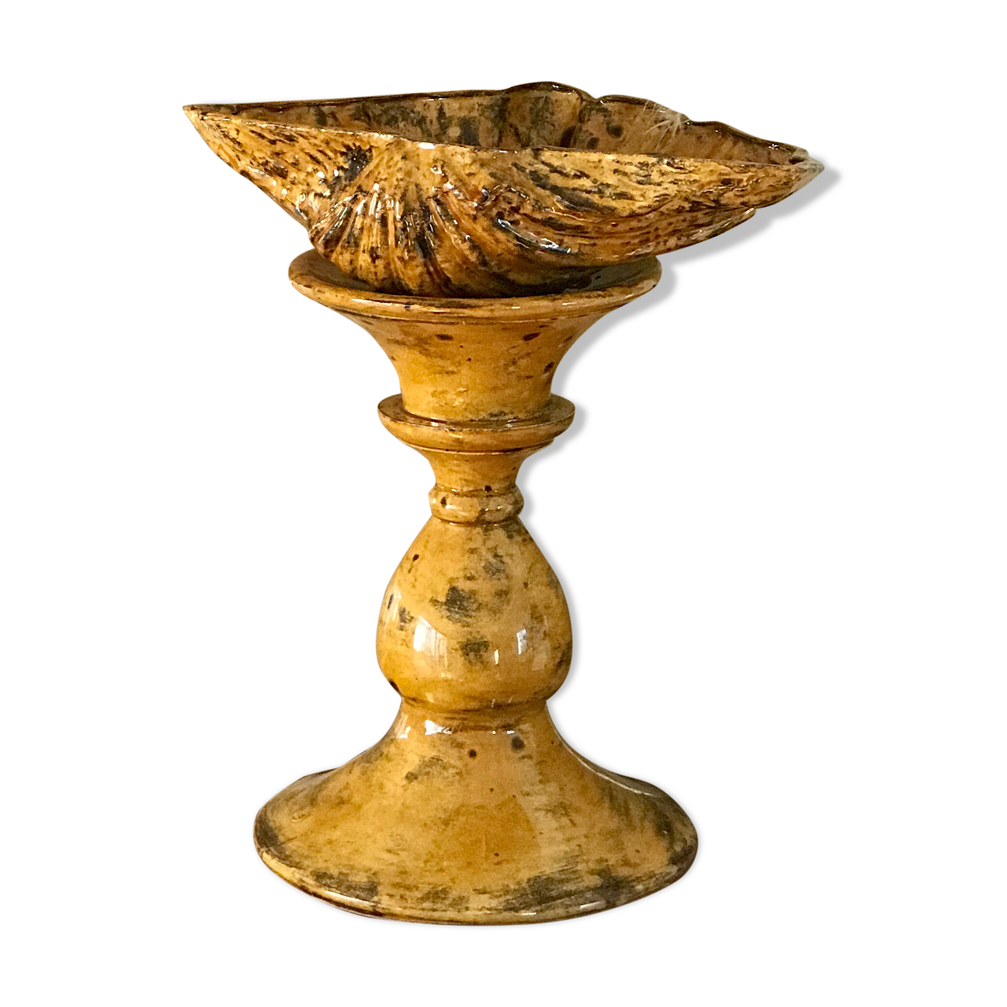 Coquillage céramique
