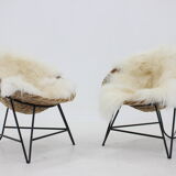 1960s Pair of Rattan Woven Basket Chair with Icelandic Sheepskin