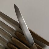 Set of 6 Scandinavian table knives, stainless steel blade, teak handle.