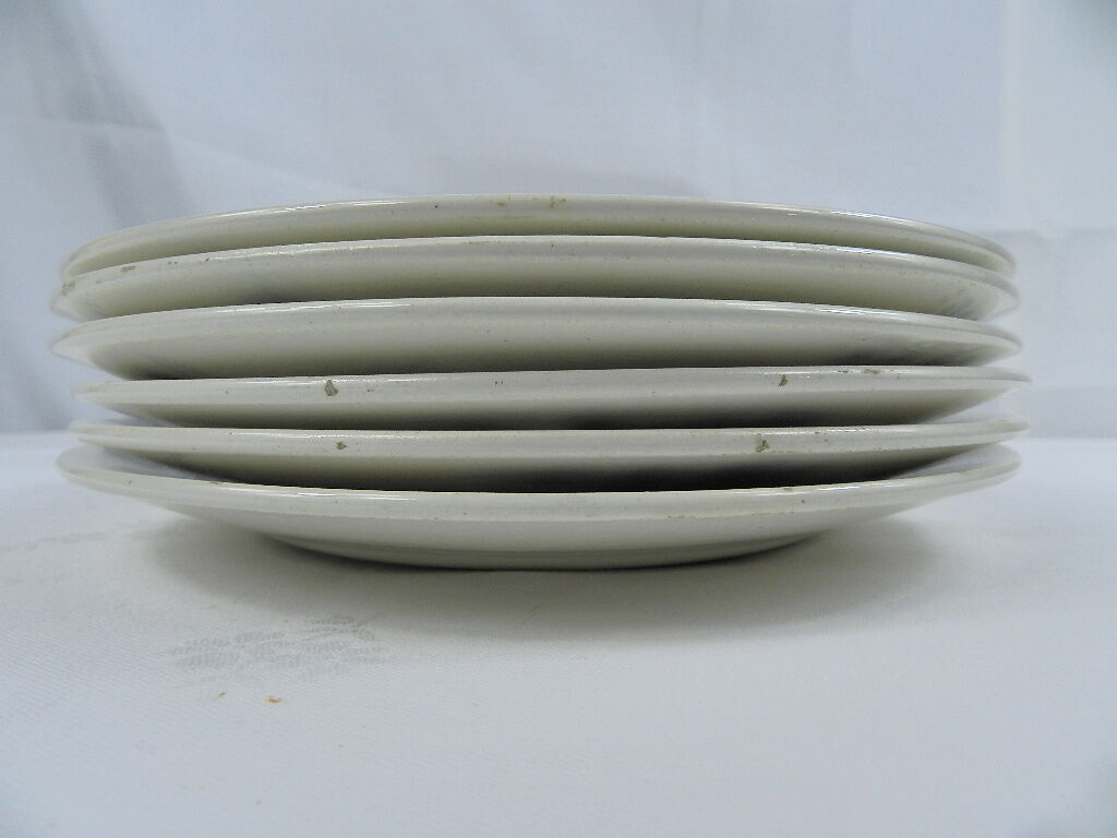 6 assiettes plates lonchamps
