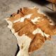 Vintage cowhide rug 1970