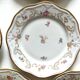 10 assiettes en porcelaine fleurie, veb r reichenbach