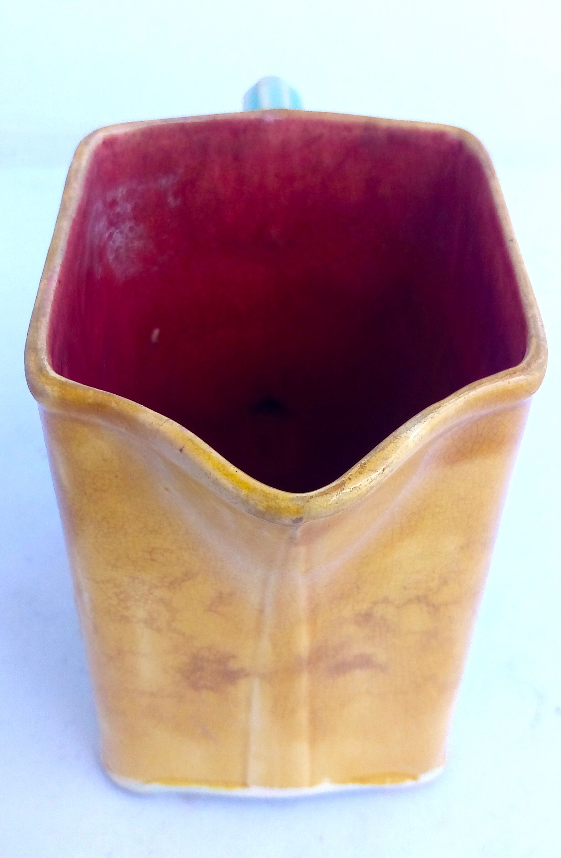 Pitcher dabbling in iris