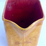 Pitcher dabbling in iris