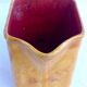 Pitcher dabbling in iris