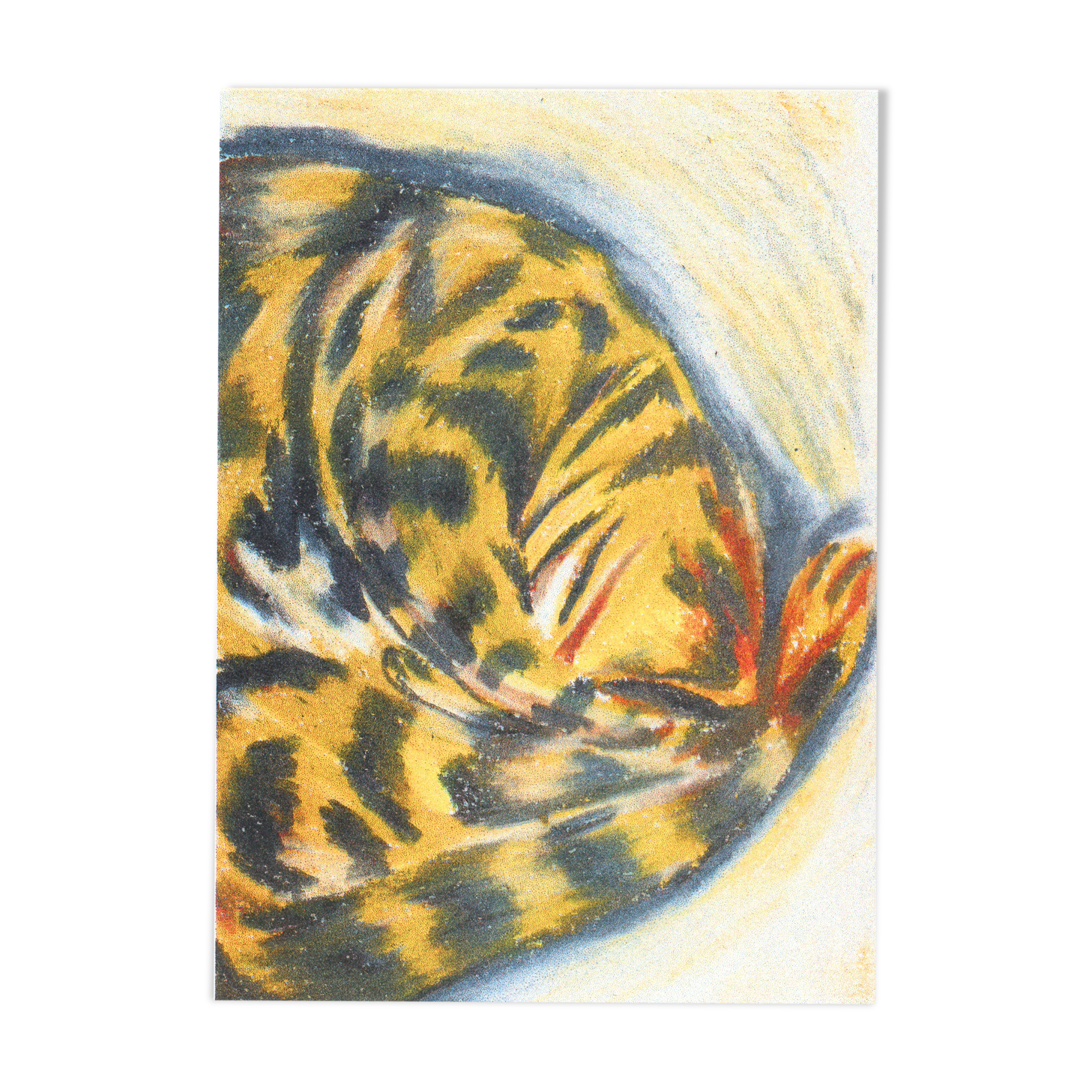 Risography "Sleeping Cat"