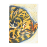 Risography "Sleeping Cat"