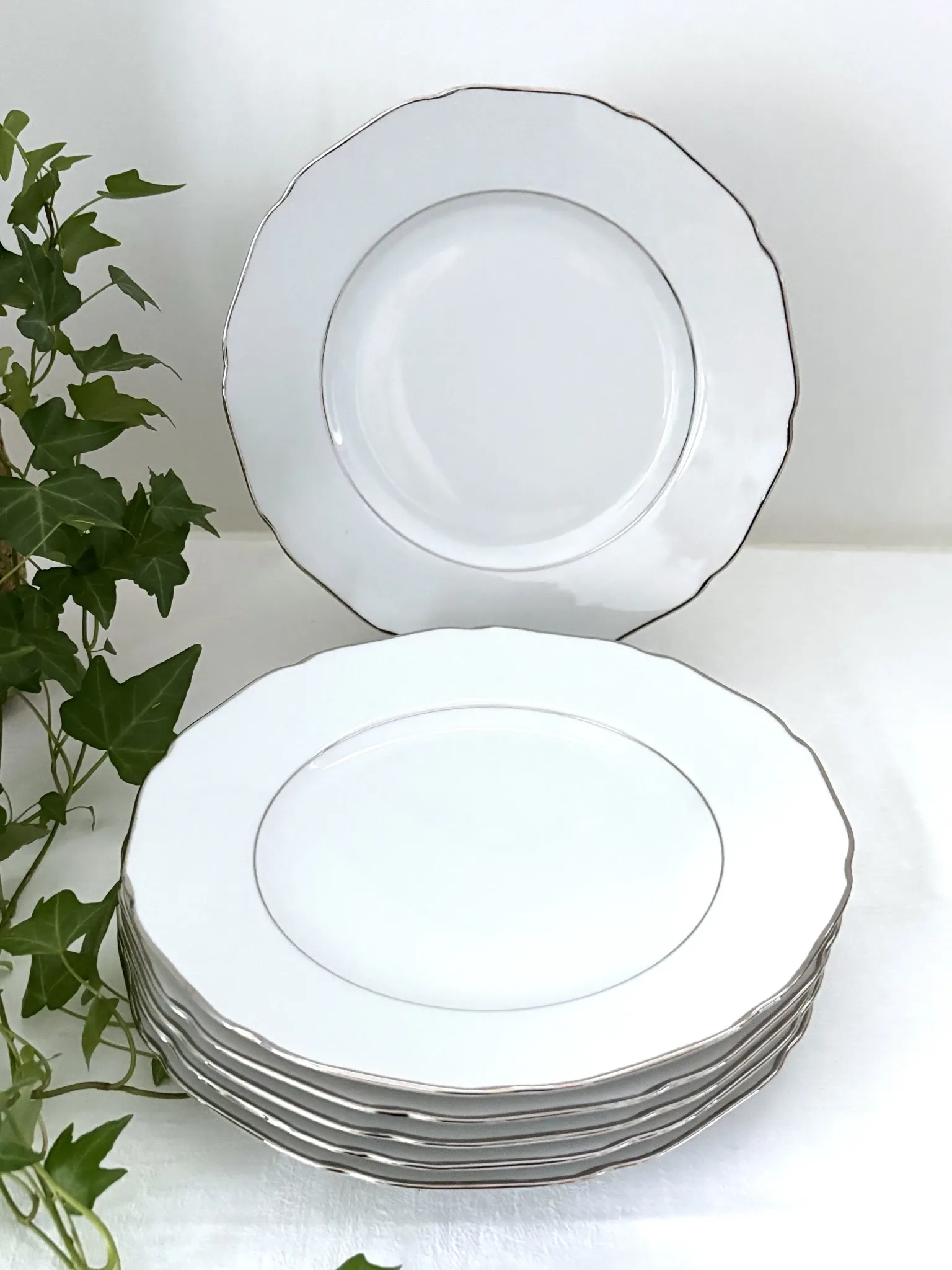 6 flat plates in white porcelain