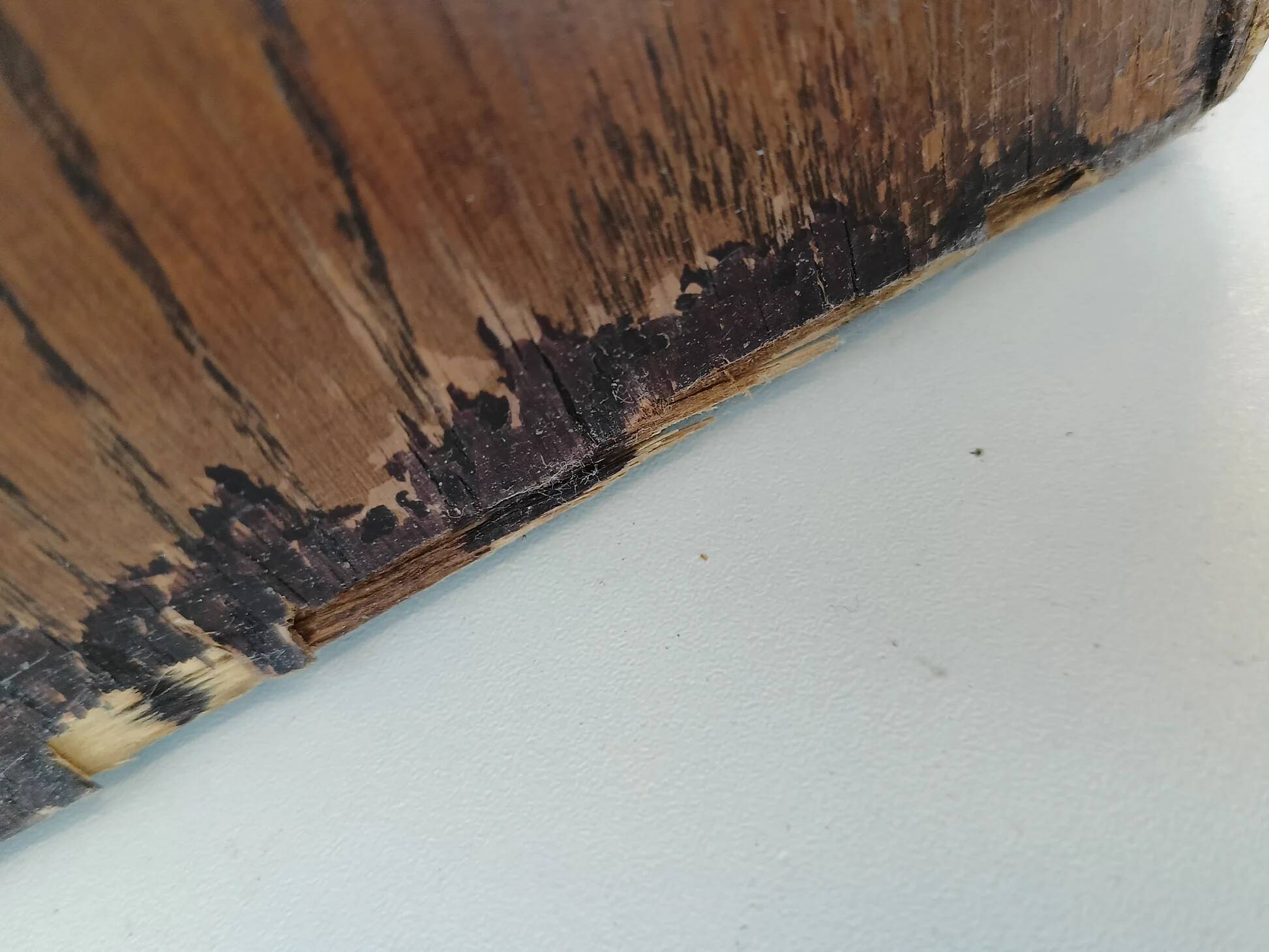 English display mahogany cabinet around 1910