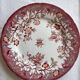 Plate Sarreguemines Minton