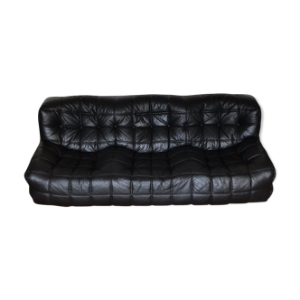 Kashima sofa, by Michel Ducaroy for Roset Ligne