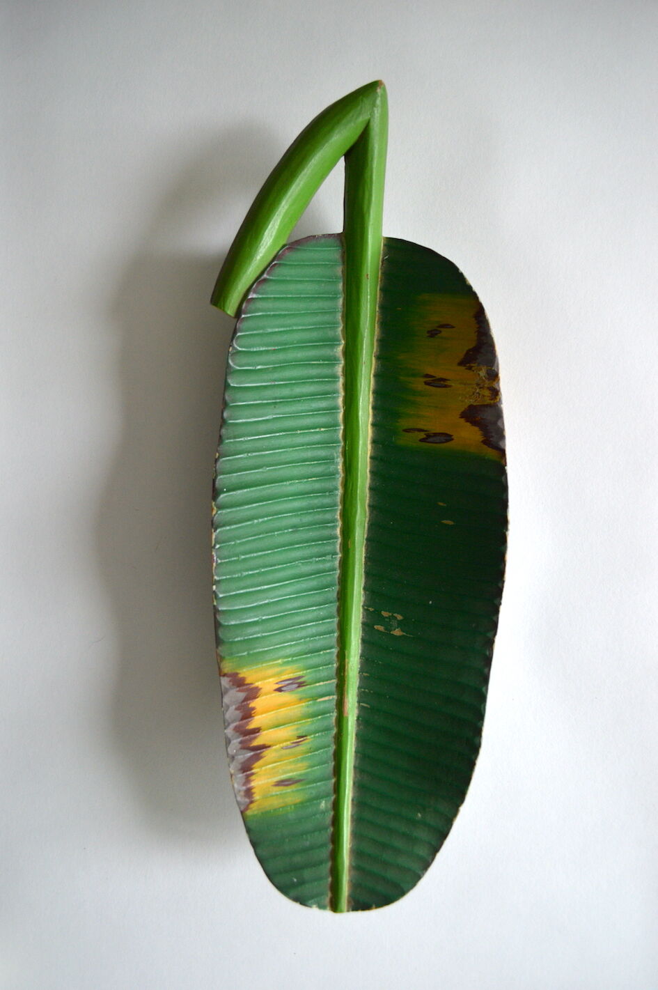 Polynesian wooden top