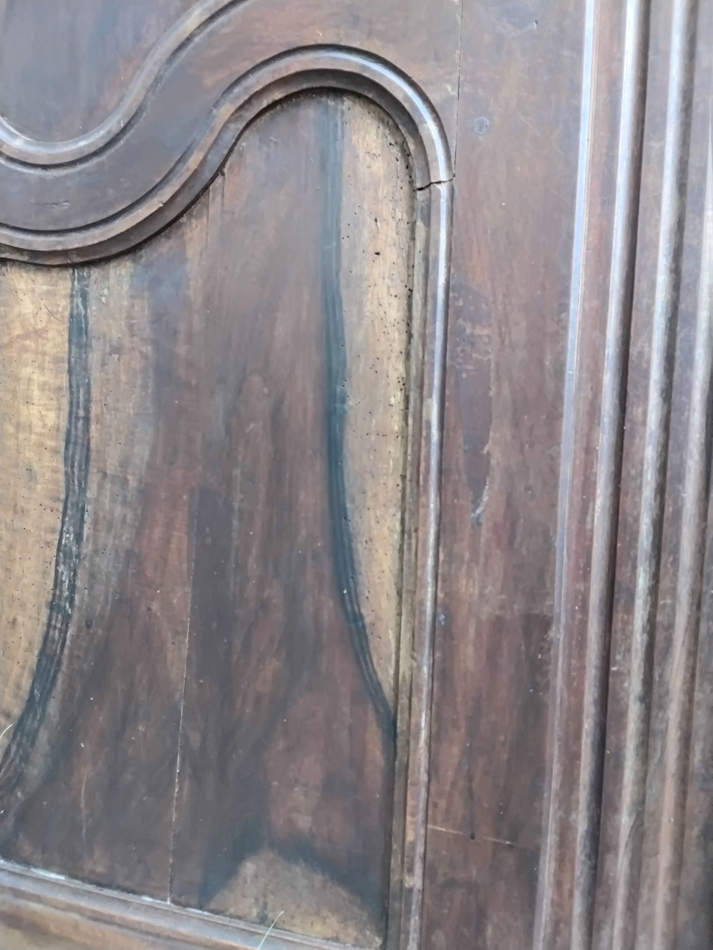 Pair of antique doors in 18th-century Louis XV style.