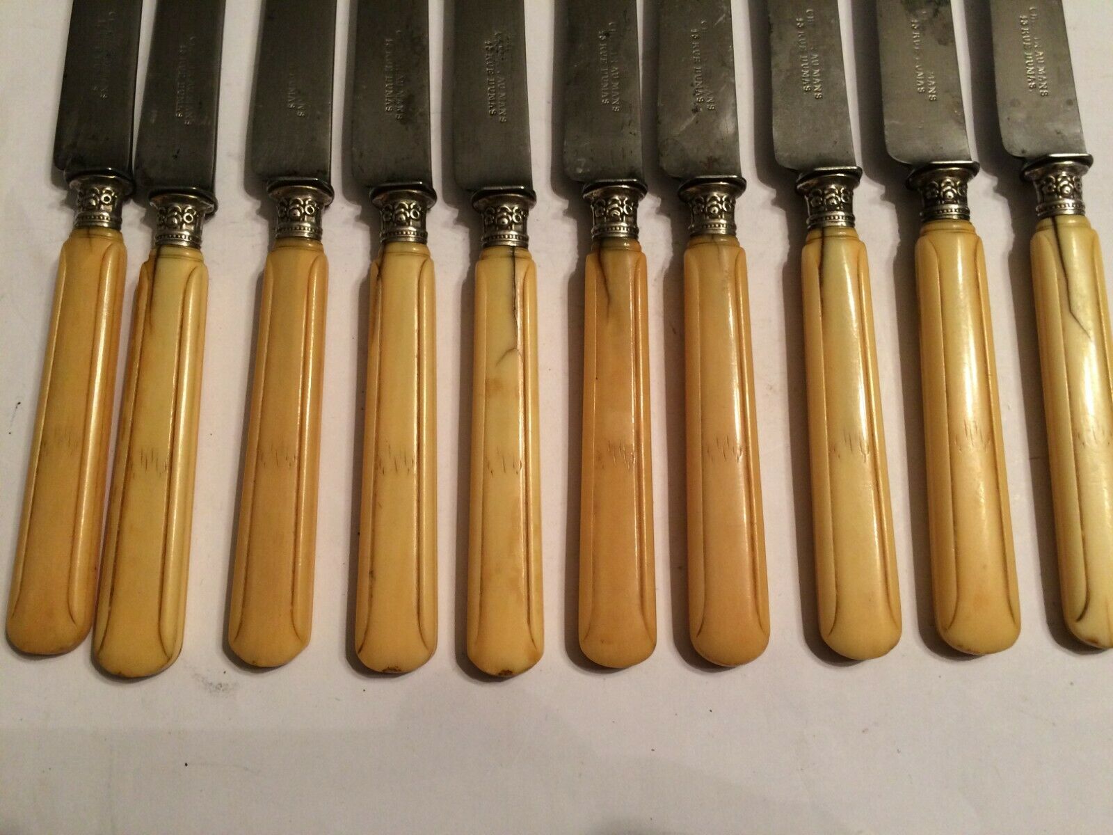 Set of 10 blade knives in steel cheese and dessert