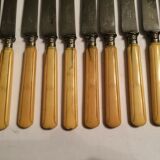 Set of 10 blade knives in steel cheese and dessert