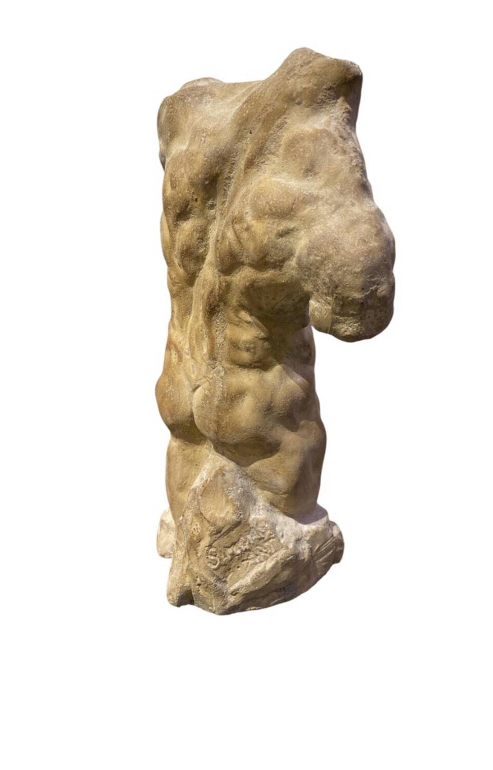 Roman torso in stone anatomical model ecorche