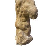 Roman torso in stone anatomical model ecorche