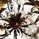 Chandelier with tassels and golden brass