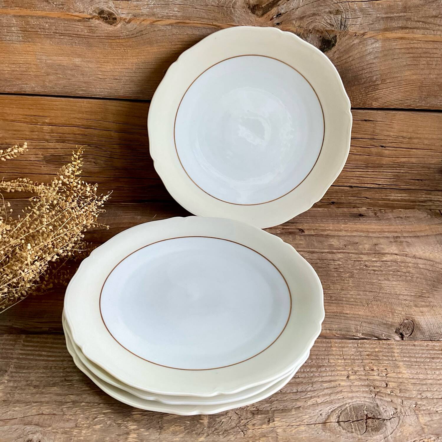 4 Limoges porcelain flat plates LEGRAND France