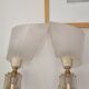 Paire appliques persplex vintage