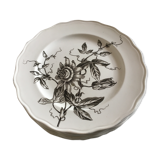 Set of 9 plates Passion flower grey 1880 Brown Westhead Moore 'Co