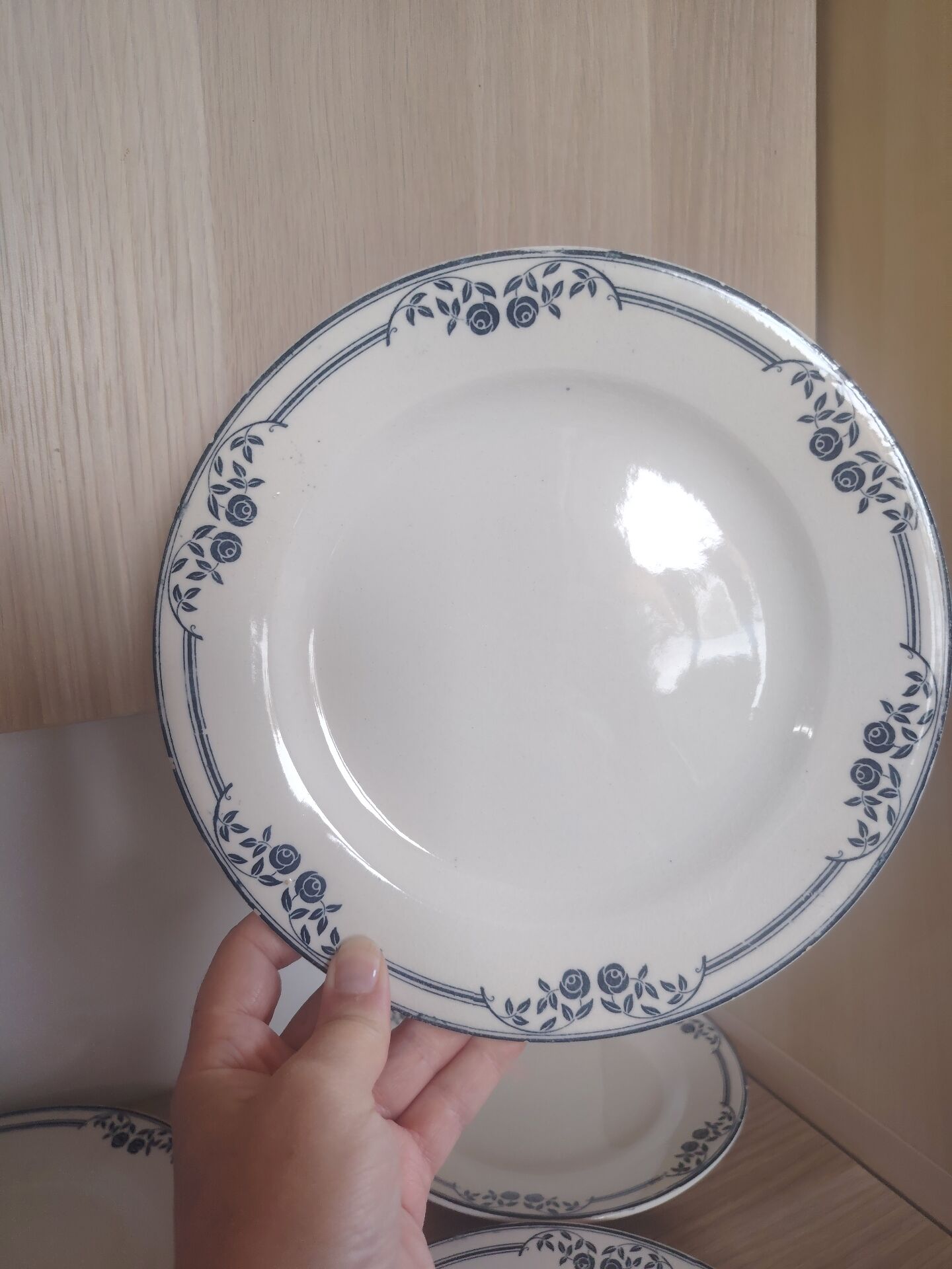 Flat plates ironstone Saussure