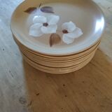 Set of 12 vintage stoneware dinner plates