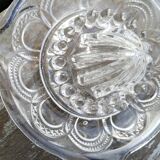 Citrus press