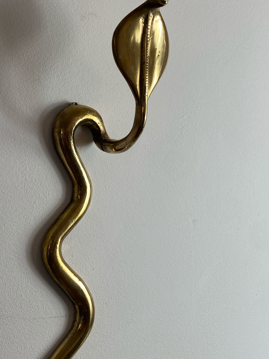 Large brass cobra wall candle holder