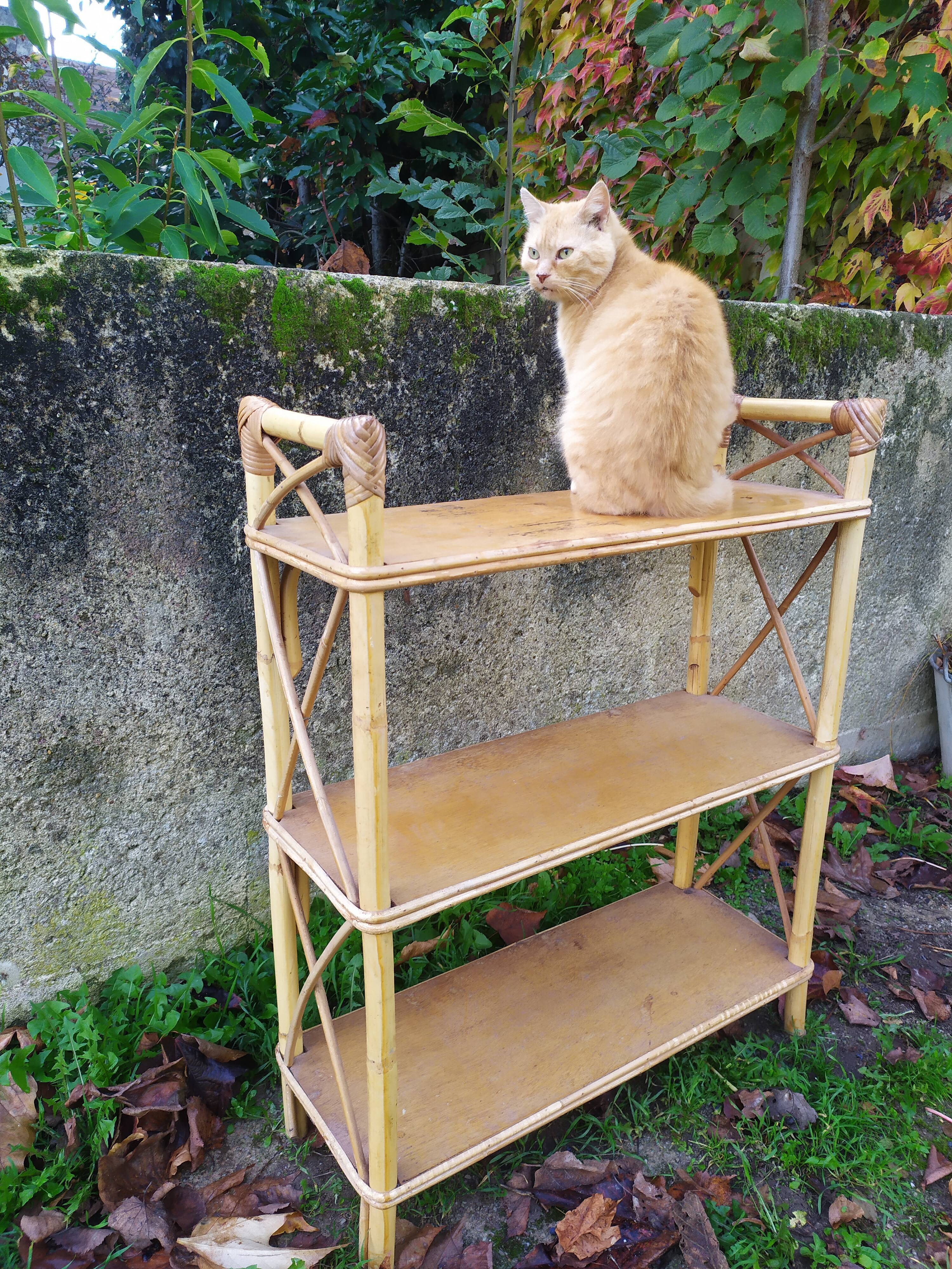 Étagère bambou et rotin années 50-60