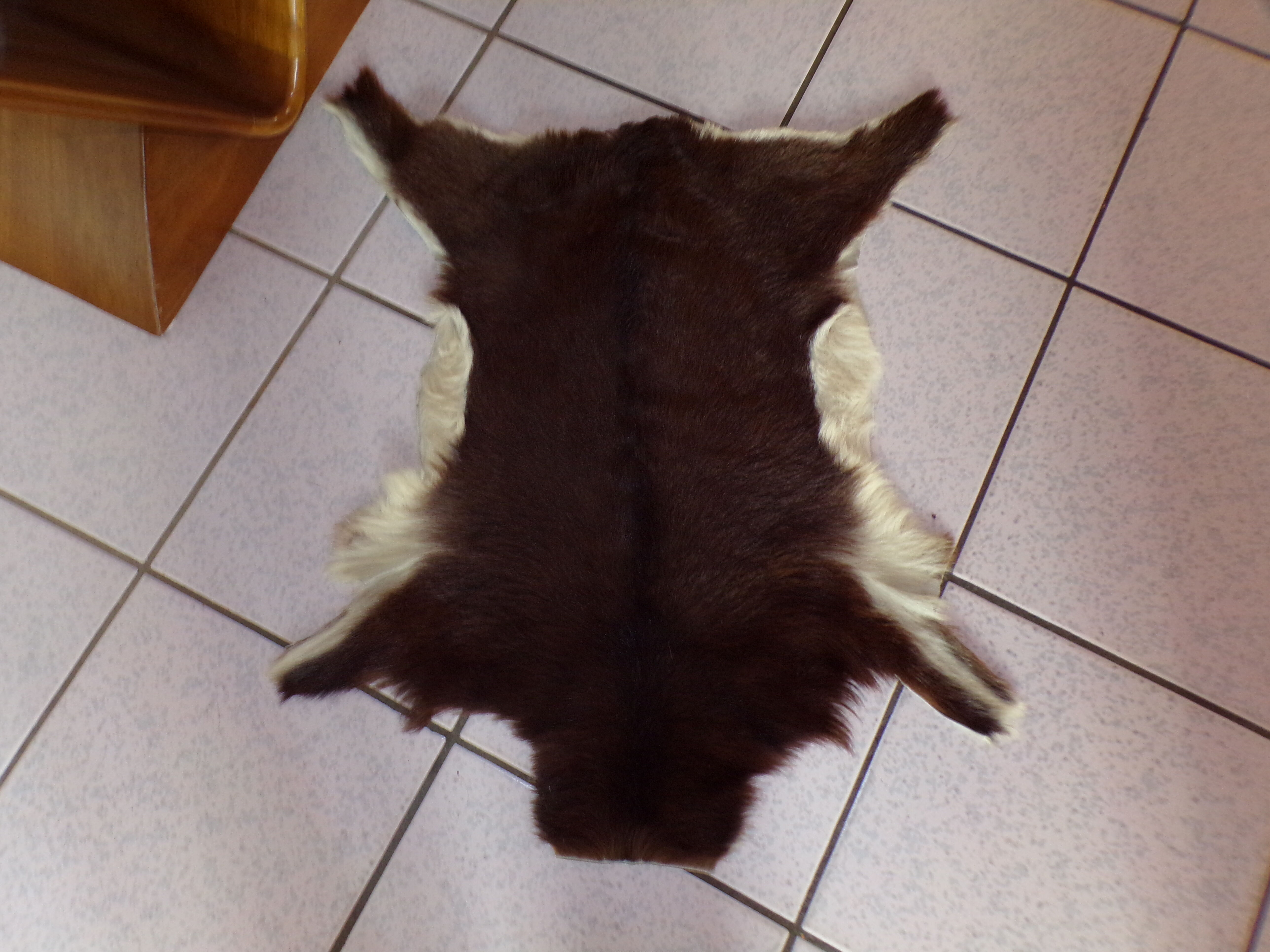 Peau de chevreau naturelle 65x53