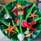 Wall plate marine animals