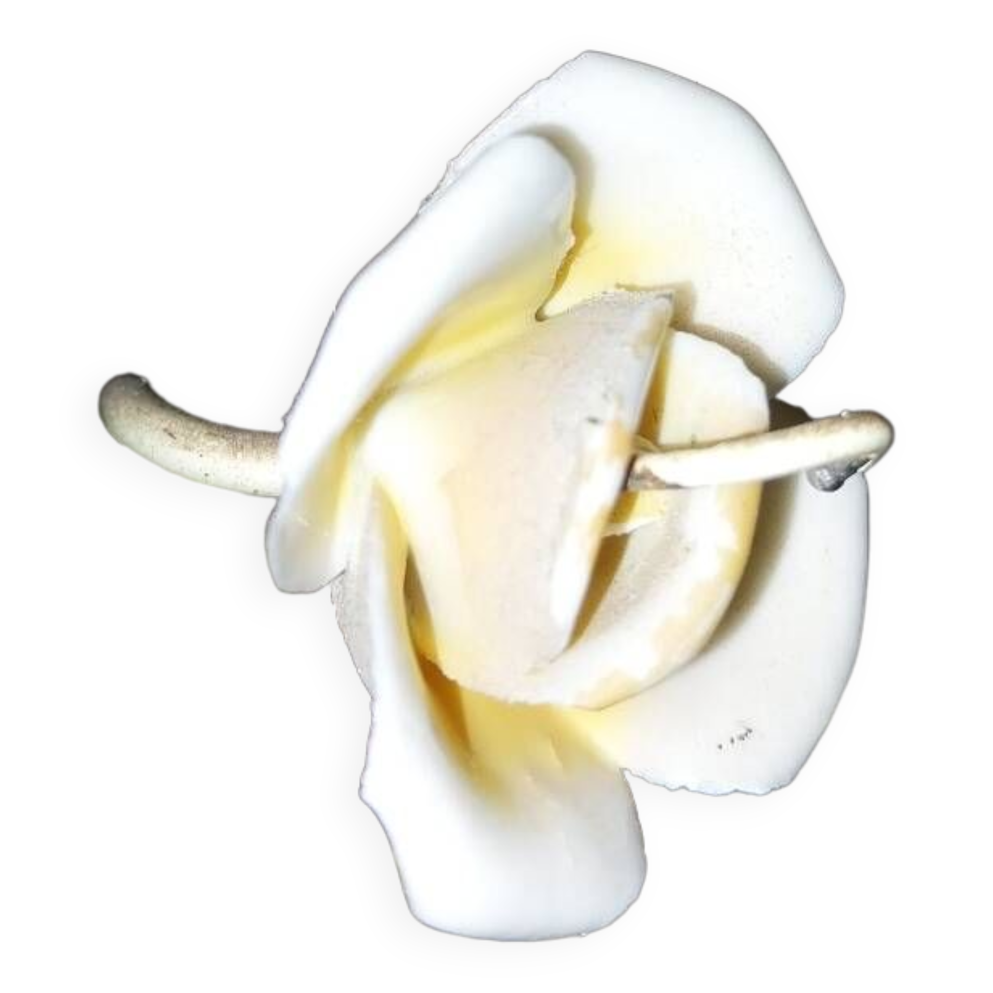 Painted metal and porcelain chandelier