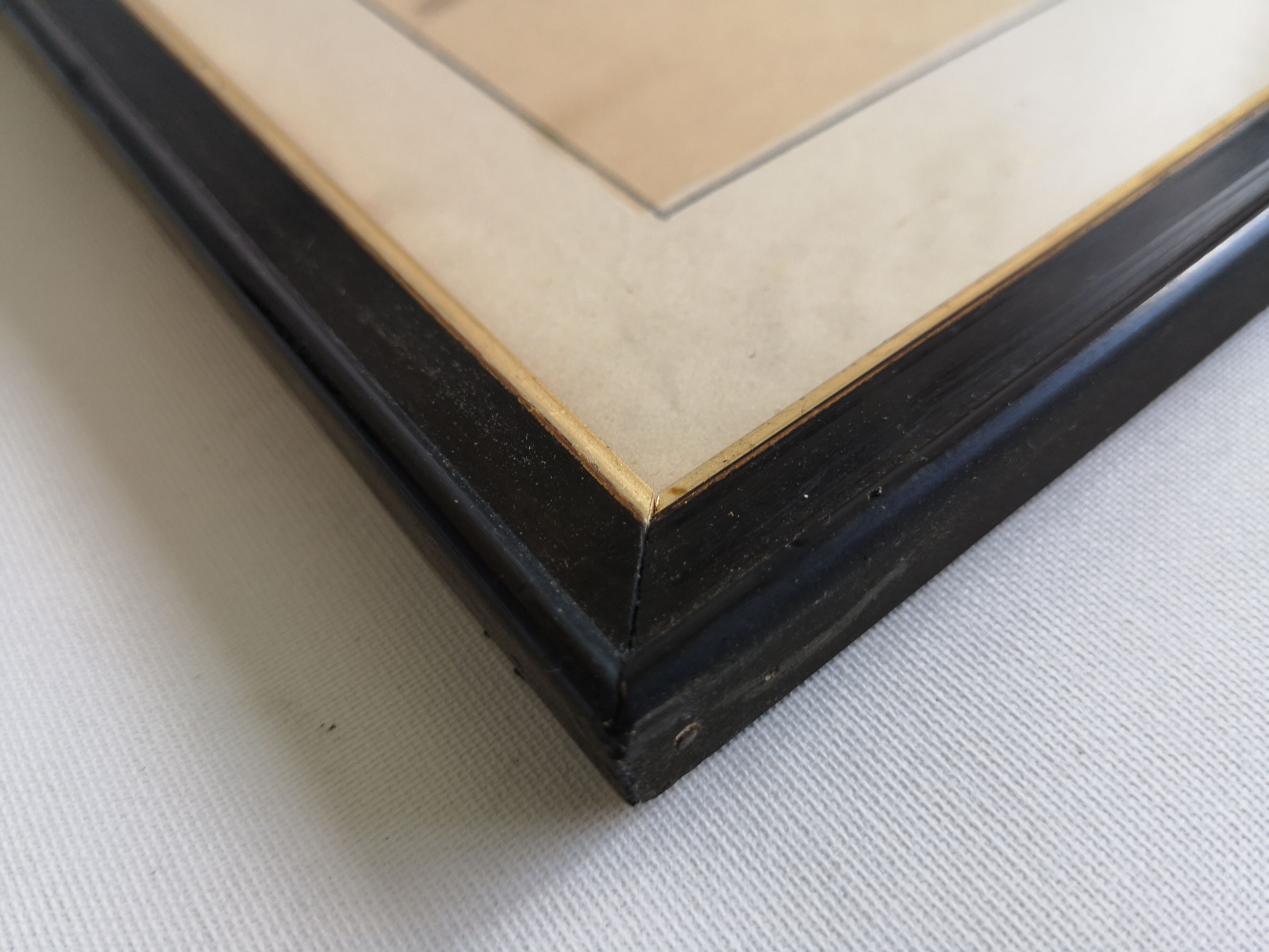 Framed botanical poster "Millet, rice, corn"