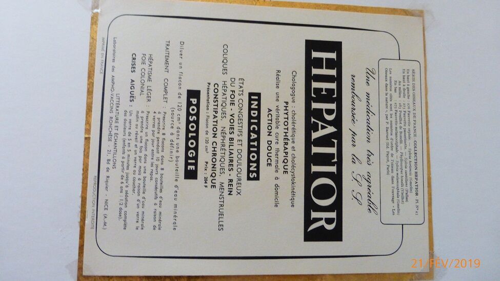 Bird - collection Hepatior N ° 43