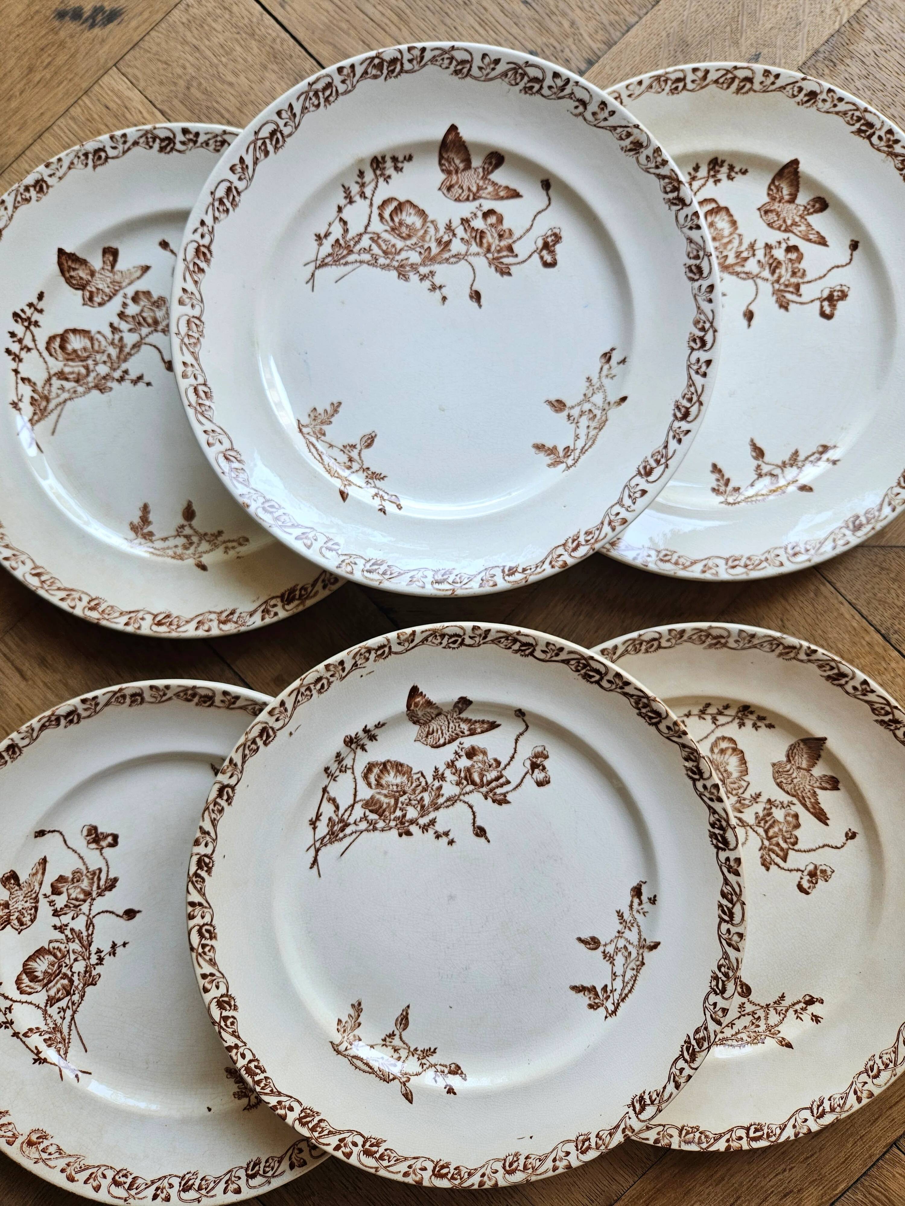Flat plates, ironstone, poppies
