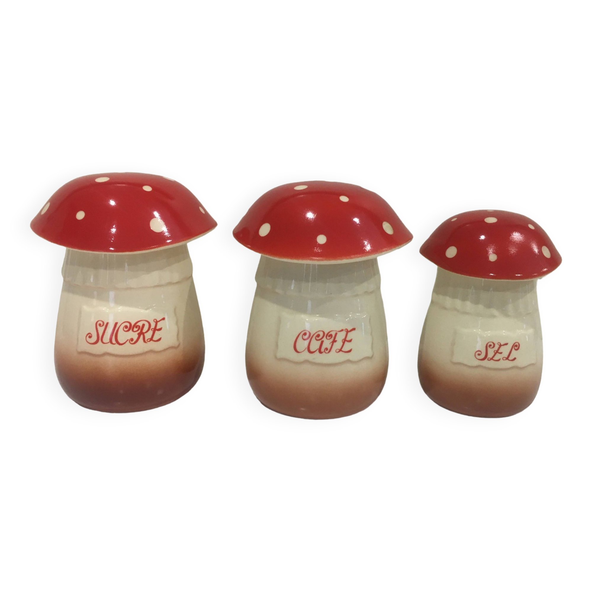 Mushroom spice jars